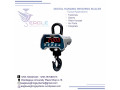industrial-hanging-scale-small-0