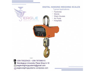 1 ton 3 ton digital crane scale