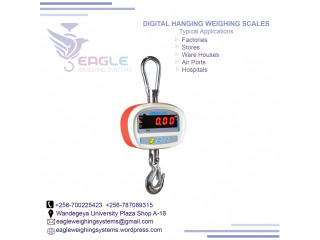 OCS electronic balance luggage scales