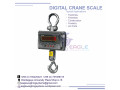 industrial-hangingweighing-crane-scale-small-0