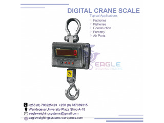 Industrial hanging/weighing crane scale