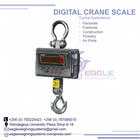 industrial-hangingweighing-crane-scale-big-0