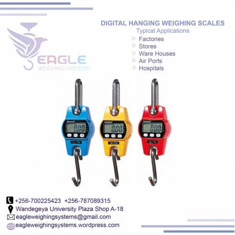 waterproof-digital-hanging-scales-for-fisheries-big-0