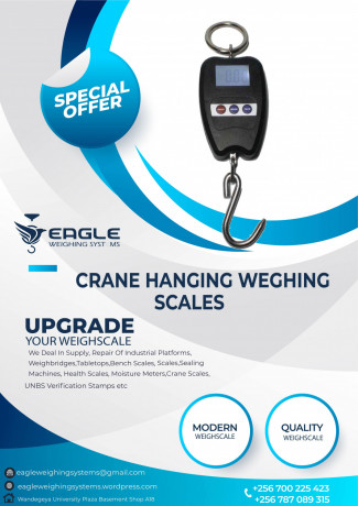 crane-scales-200kg-big-0
