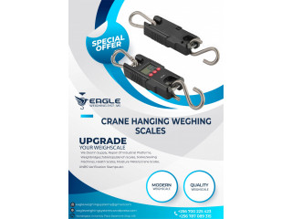 Digital Crane Portable Electronic Weighing Scales