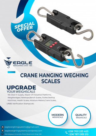 digital-crane-portable-electronic-weighing-scales-big-0