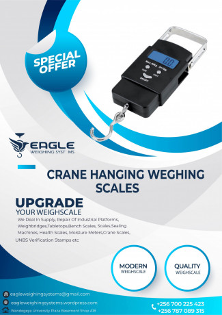 hanging-weighing-scales-50kg-big-0