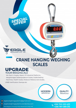 digital-scales-for-fishing-industries-big-0