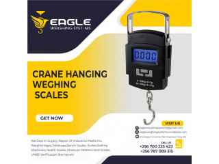 Pocket Weight Scales for luggage