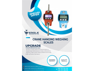 Crane Scales for luggage at Eagle Weighing Scales