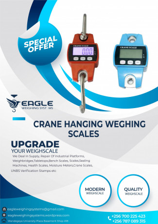 crane-scales-for-luggage-at-eagle-weighing-scales-big-0