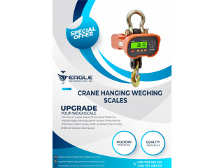 High Precision Hanging Digital Scale