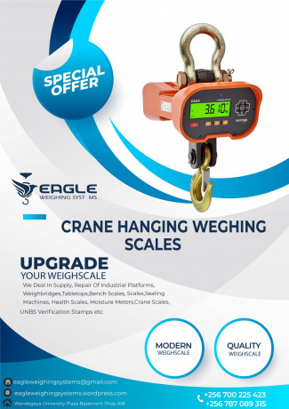 high-precision-hanging-digital-scale-big-0