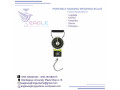 hanging-mechanical-scale-small-0
