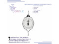salter-weighing-scales-small-0