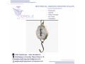 spring-mechanical-weight-balance-small-0