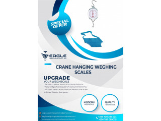 Salter Baby hanging weighing scales