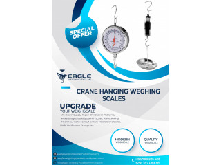 20kg high accuracy Double-sided hanging scales