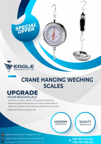 20kg-high-accuracy-double-sided-hanging-scales-big-0