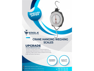 200kg spring hanging scale with high quality