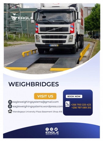 automatic-weighing-by-weighbridges-at-eagle-weighing-systems-big-0