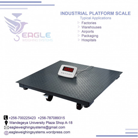 electronic-industrial-platform-scales-big-0