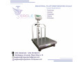 industrial-weighing-scales-small-0