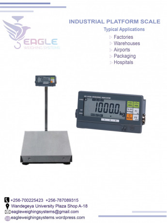 factory-electronic-digital-platform-weighing-scales-big-0