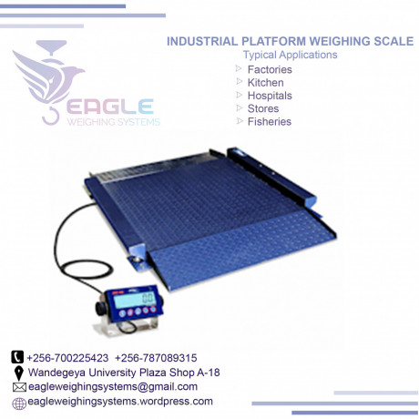 weighing-floor-scales-at-eagle-weighing-systems-ltd-big-0