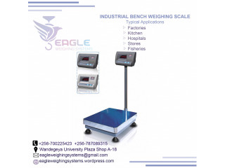 A12E platform weighing scales