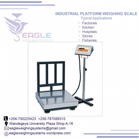 300kg-electronic-digital-industrial-platforms-kampala-big-0