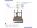 300kg-digital-platform-weighing-scale-small-0