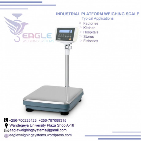 stainless-steel-top-platform-scale-with-rail-big-0