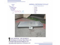 weighing-machine-5000kg-small-0