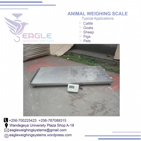 weighing-machine-5000kg-big-0