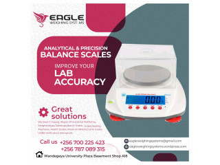 Electronic laboratory balance Scale