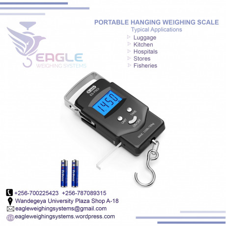 digital-hanging-travel-portable-hanging-scales-in-kampala-big-0