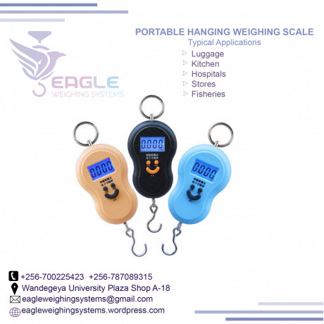 industrial-hangingweighing-crane-scale-in-mukono-big-0