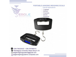 Electronic Weighing Scales at eagle weighing systems