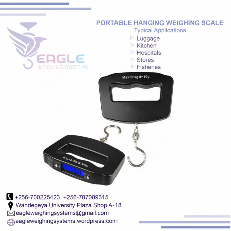 electronic-weighing-scales-at-eagle-weighing-systems-big-0