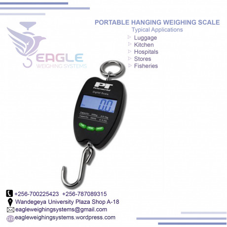 crane-scales-200kg-at-eagle-weighing-systems-in-wandegeya-big-0