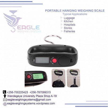 digital-crane-portable-electronic-weighing-scales-in-kampala-big-0