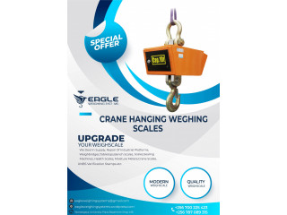 10 ton crane scales