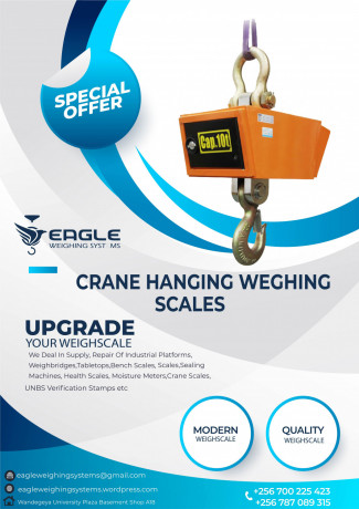 10-ton-crane-scales-big-0