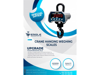 High-Precision Hanging Weighing Scale