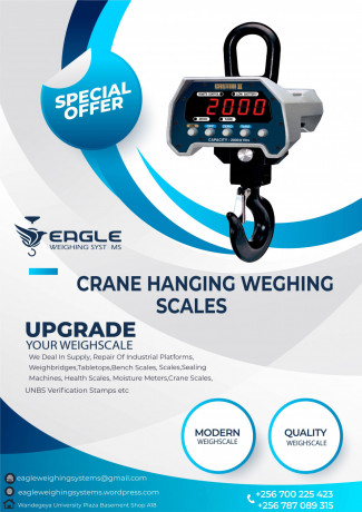 high-precision-hanging-weighing-scale-big-0