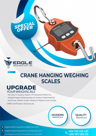 longlasting-hanging-weighing-scale-big-0