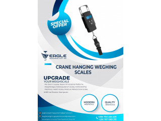 Digital Hanging Scale,50kg Capacity