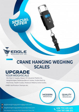 digital-hanging-scale50kg-capacity-big-0