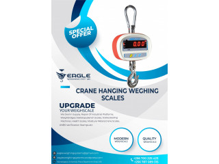 Industrial hanging scale